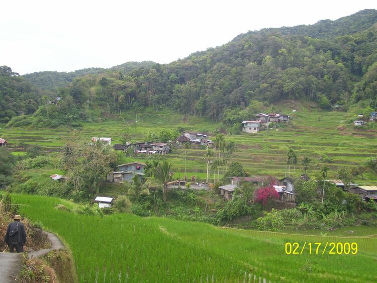 Na'amu''amung an bbobobleh nan Baranggay Hingyon munisipyun di  Hingyon pribinsyan di Ipugaw